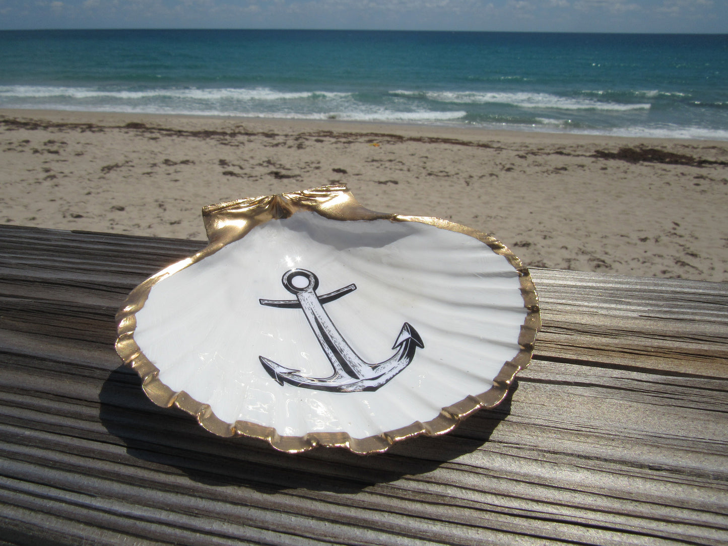 South Florida Trinket Shells