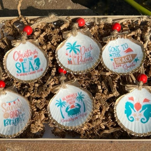 Love, Santa Shells Mini 6 Pack