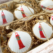 Load image into Gallery viewer, Jupiter Lighthouse Mini Shell 6 pk
