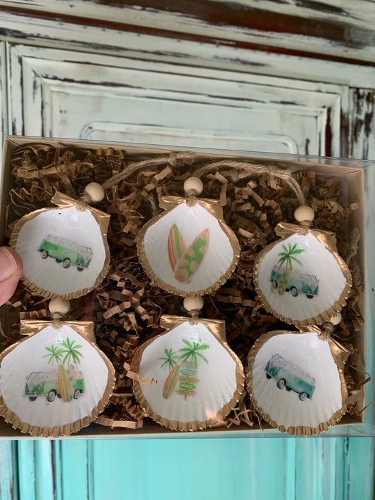 Vagabond Mini 6 Pack