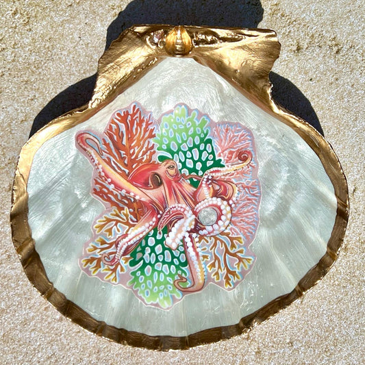 Devin Noel Design Trinket Shell